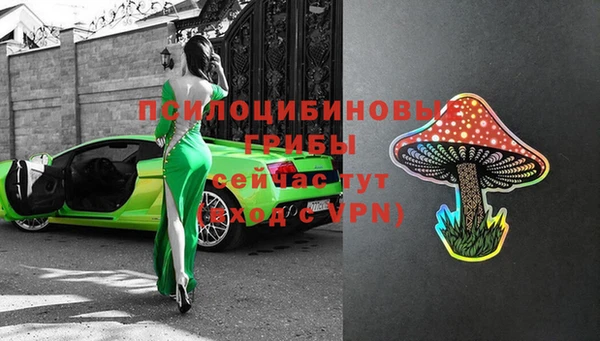 круглые Алексеевка