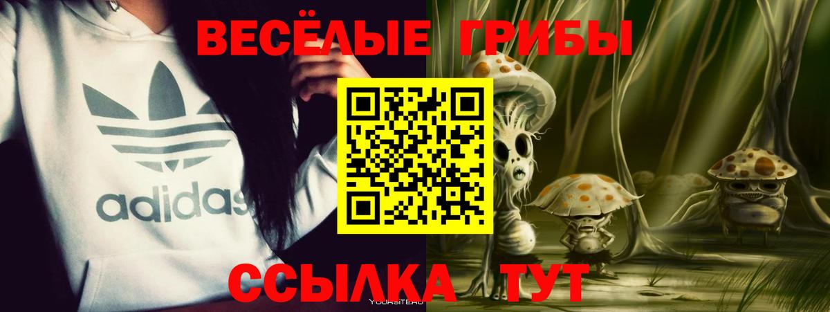 Галлюциногенные грибы GOLDEN TEACHER  Вход с VPN  Галлюциногенные грибы ЛСД  Красногорск 